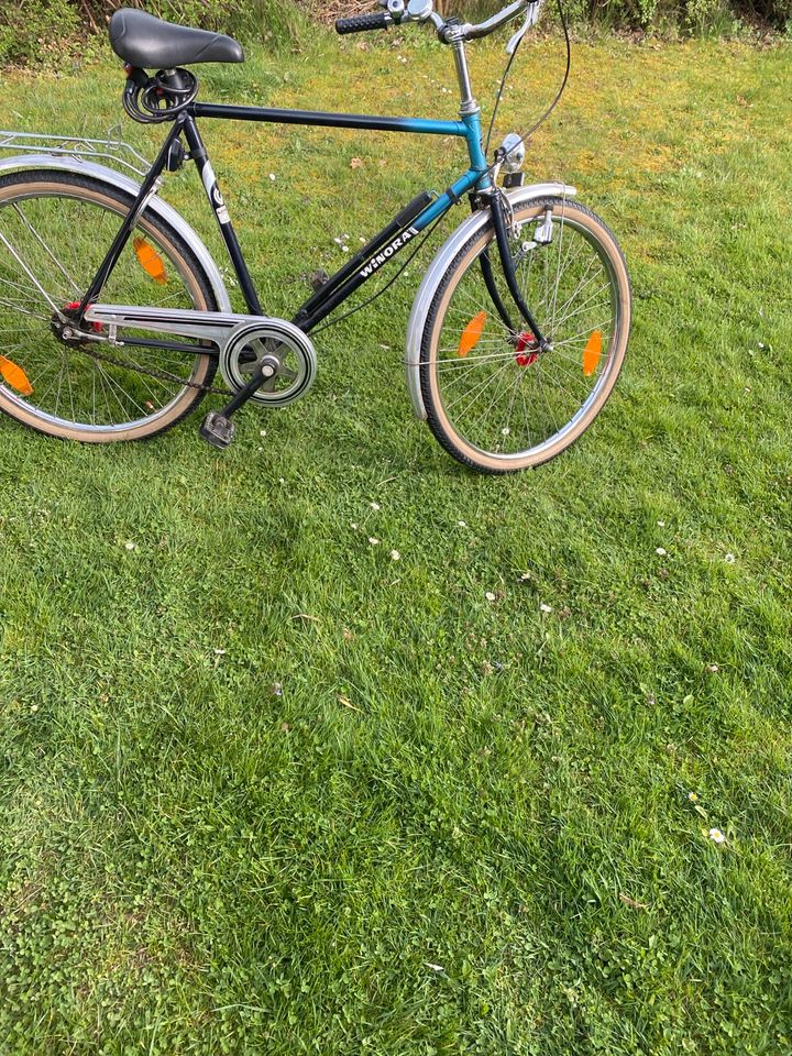 Retro Fahrrad 26" Rahmenhöhe 56 cm in Oderwitz