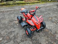 Pocketquad kinderquad Dragon 49cc Kinder Quad Dragon Sport 4" Rheinland-Pfalz - Bad Breisig  Vorschau