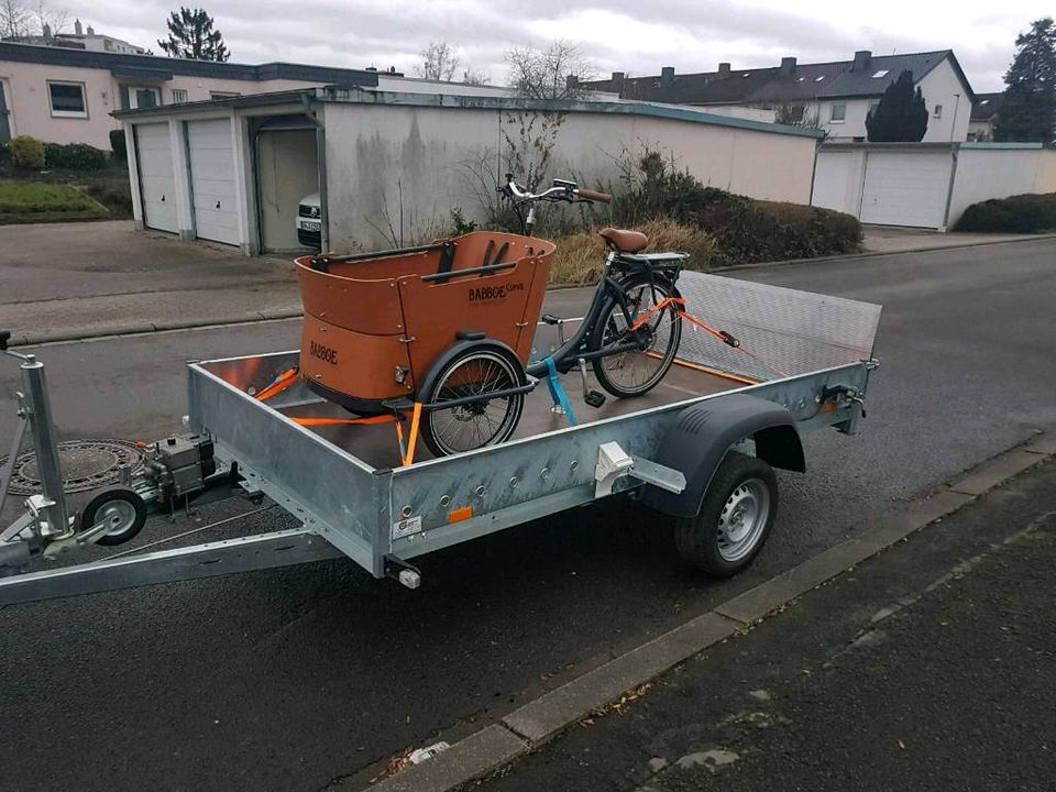 Babboe Curve E-Lastenrad mit nur 259 km in Wendlingen am Neckar