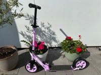 Roller in Pink von Story Np 89€ Nordrhein-Westfalen - Krefeld Vorschau