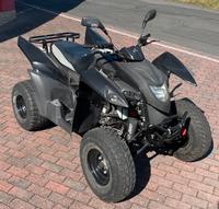 Herkules ATV 320 Adly Hurricane Hessen - Sinntal Vorschau