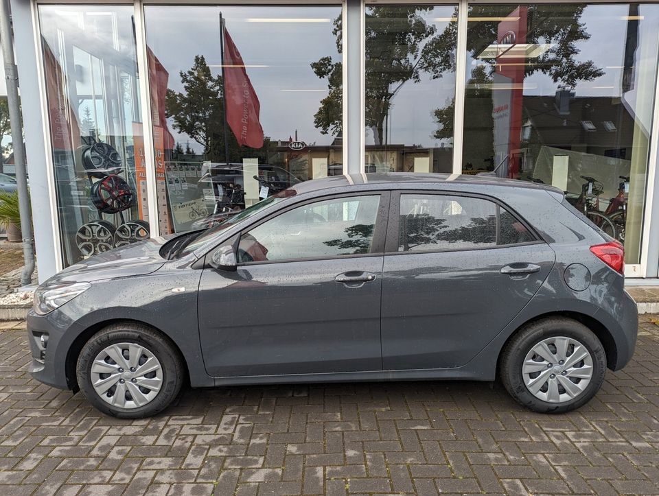 Kia Rio 1.2 Comfort EcoDynamics Klima Bluetooth DAB in Tostedt