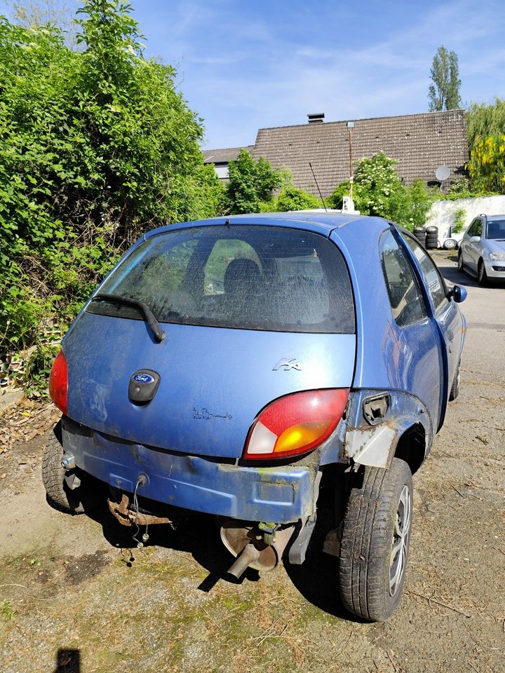 Ford Ka zum Teile. Motor, Getriebe, Türe, WSS mit Heizung in Düren