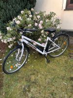 Damen Fahrrad 28 Zoll von Trekking Niedersachsen - Achim Vorschau