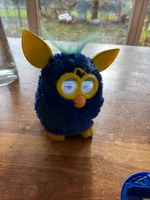 Furby 2012 dunkel Blau Hasbro Gepflegter Zustand Rheinland-Pfalz - Trier Vorschau