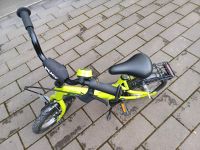 Pucky Kinderfahrrad Rheinland-Pfalz - Langsur Vorschau