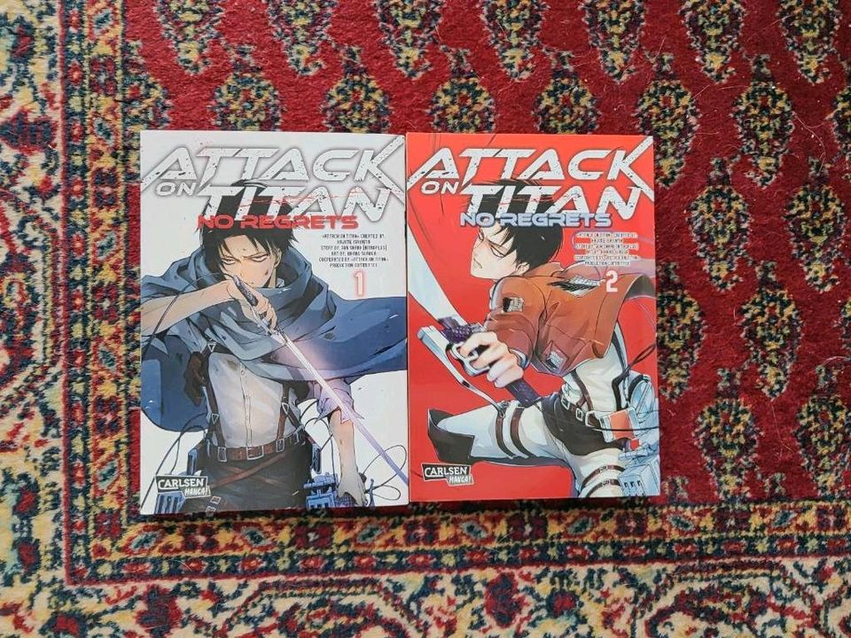 Attack on Titan Sammlung in Düsseldorf