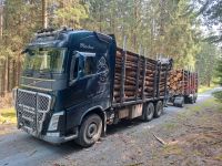 Brennholz aus Thüringen mit Anlieferung Thüringen - Remptendorf Vorschau