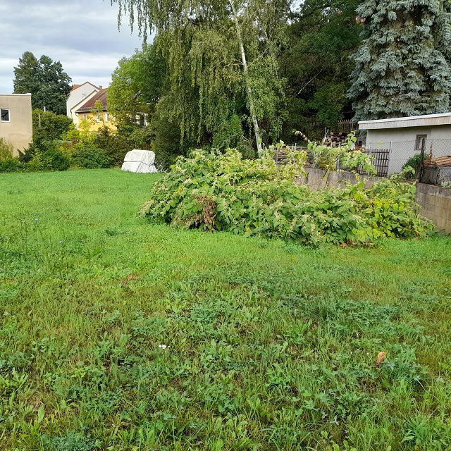 Baulücke sofort bebaubar auch mehrgeschossig in Stadtnähe in Zwickau