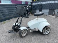 CADSTER Elektromobil Golf Caddy Bayern - Kahl am Main Vorschau