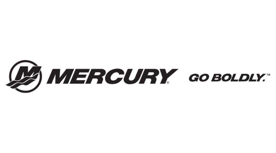 Mercury F115EXLPT CT XL-Langschaft Schaltbox E-Start Neu❗Angebot❗ in Burgwedel