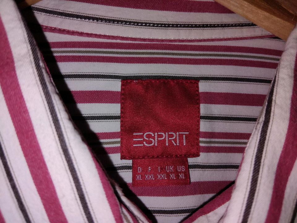 Hemd " ESPRIT " Herren * Gr.XL * schick * gestreift in Leinefelde-Worbis