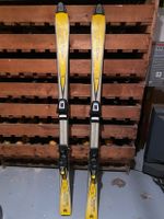 Ski Carver 130cm Tecno 30j Bonn - Venusberg Vorschau