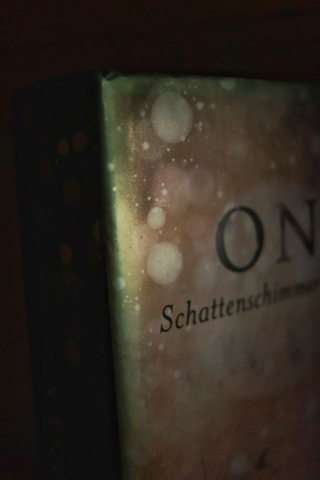 Onyx - Schattenschimmer von Jennifer L. Armentrout in Dresden