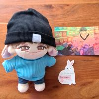 Seventeen Joshua 20 cm Doll kpop Puppe fanmerch Hessen - Idstein Vorschau