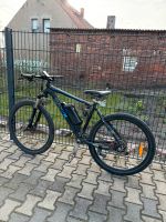 E Bike der Marke saxxx Brandenburg - Herzberg/Elster Vorschau