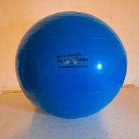 Pezziball 65 cm Hessen - Rosbach (v d Höhe) Vorschau