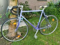 Rennrad Peugeot 1995 Nordrhein-Westfalen - Höxter Vorschau