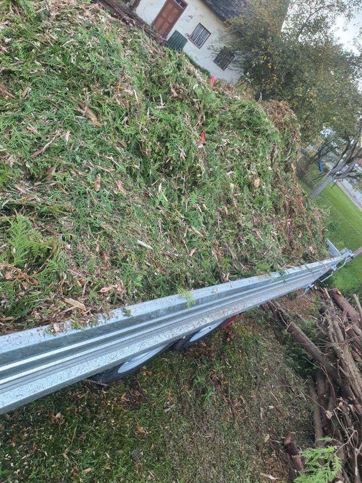 Baumfällung,Wurzelstock/Hecke/Baum/Thuja entfernen,Mulcharbeiten, in Bruckberg bei Landshut