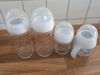 Philips Avent Fläschchen Glas 2x240ml 1x120ml +Trinklernflasche Baden-Württemberg - Schwendi Vorschau