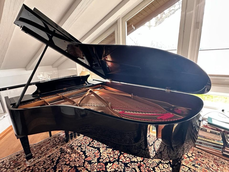 STEINWAY & SONS Flügel, Modell B-211, Piano, Konzert-Flügel in Bad Homburg