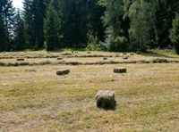 Kleine Heuballen Bayern - Viechtach Vorschau