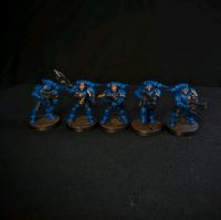 Space Marines Reivers (bemalt) Niedersachsen - Melbeck Vorschau