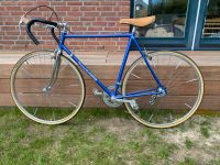 Rennrad Vintage Retro 54 cm Rahmenhöhe Wandsbek - Hamburg Sasel Vorschau