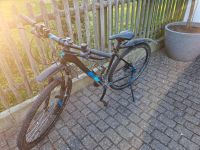 Mountainbike Cube ACCESS EXC 29" Nordrhein-Westfalen - Warstein Vorschau