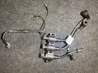 Honda BF 25/30 PS Außenborder 4-Takt Zündspulen Ignition Coils Sachsen-Anhalt - Magdeburg Vorschau