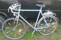 Modena Top Modell Fahrrad Rennrad 80er Jahre Shimano 28er 28 Zoll Niedersachsen - Lehrte Vorschau