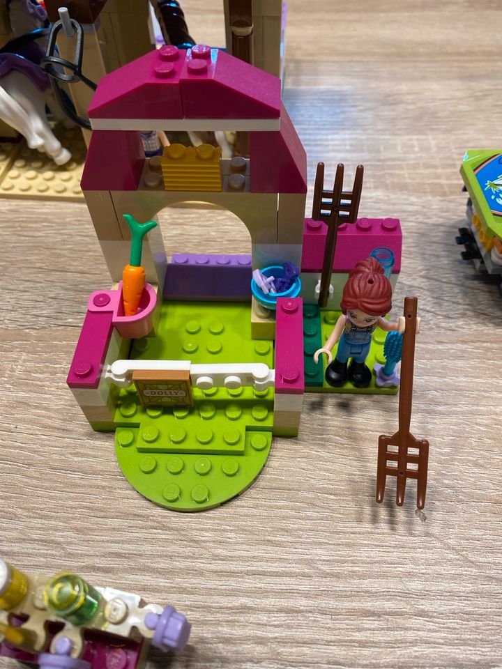 Lego Friends Reiterhof in Salzhausen