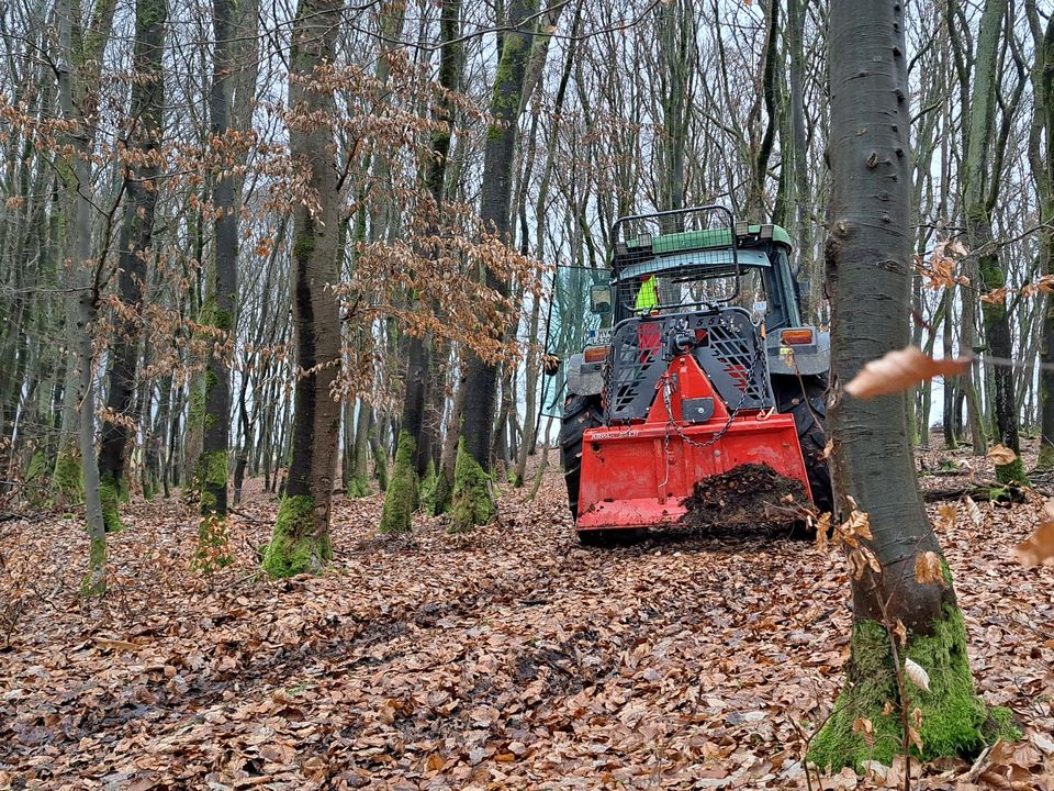 Holzeinschlag brennholz kegelspalter forstdienstleistungen in Bermel