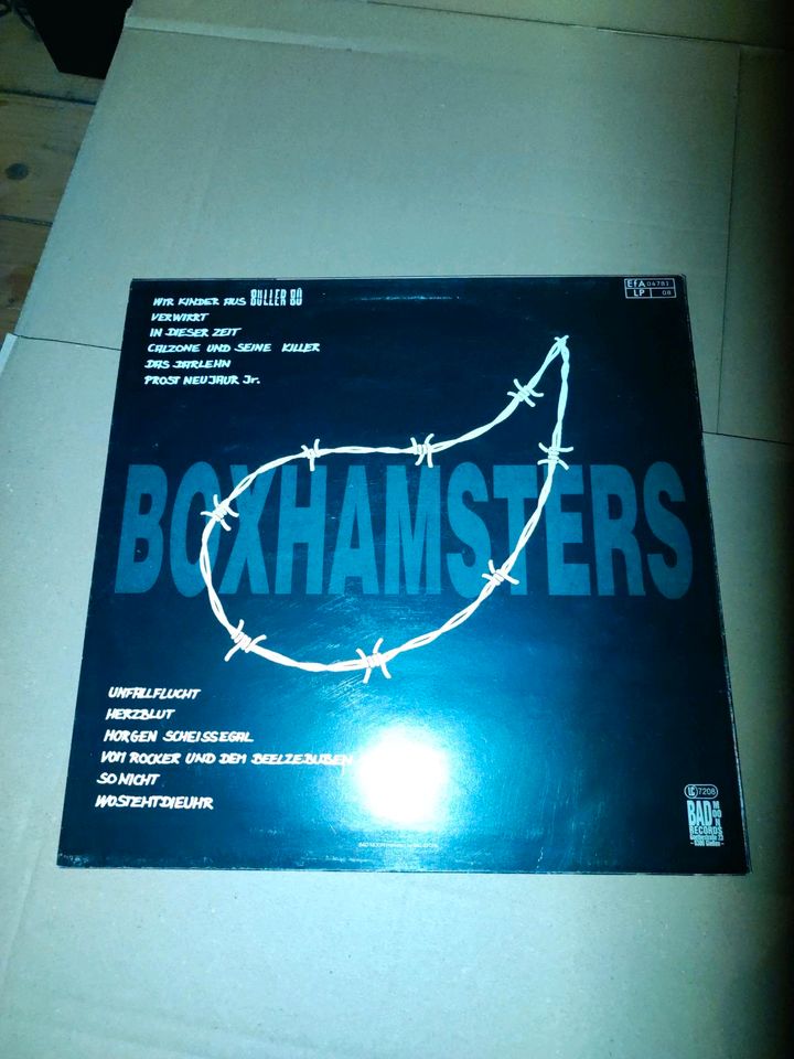 Boxhamsters LP Vinyl in Extertal