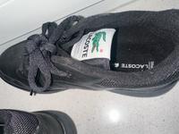 Lacoste Sneaker Damen NEU! Niedersachsen - Vechta Vorschau