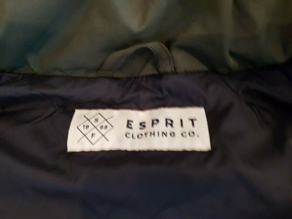 ESPRIT Winter-Jacke Stepp-Jacke Herren L warme Jacke in Wendisch Evern