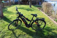 Haibike SDURO Trekking 2.0 Baujahr 2019 Rahmenhöhe 48 cm Niedersachsen - Dransfeld Vorschau