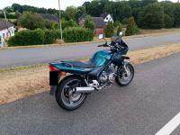 Yamaha XJ 600s Niedersachsen - Winsen (Luhe) Vorschau