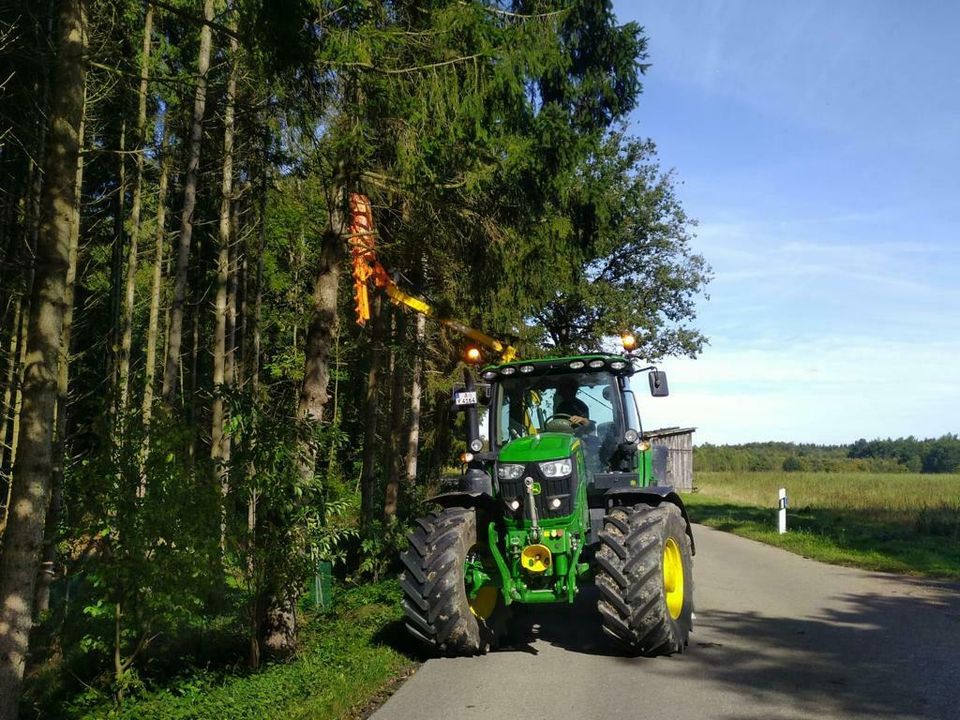 Heckenschnitt- und Mulcharbeiten in Nordendorf