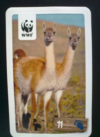 REWE WWF - Sticker aus 147 verschiedenen "WWF Tier Abenteuer" in Thalheim/Erzgebirge