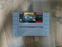 Super Nintendo Drakkhen SNES Drakken US NTSC Modul Sachsen-Anhalt - Ilsenburg (Harz) Vorschau