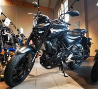 Yamaha MT-03 - starkes A2 Bike mit TOP-Handling Bayern - Geretsried Vorschau