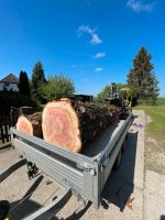 Mammutbaum Baumscheiben XXL Holzscheiben Mecklenburg-Vorpommern - Jabel Vorschau