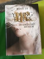 Young Elites - die Gemeinschaft der Dolche / Marie Lu Nordrhein-Westfalen - Gelsenkirchen Vorschau