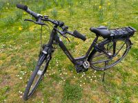 28" E-Bike Damen Elektro Fahrrad Carver Balance 100 V7 Pedelec Dresden - Blasewitz Vorschau