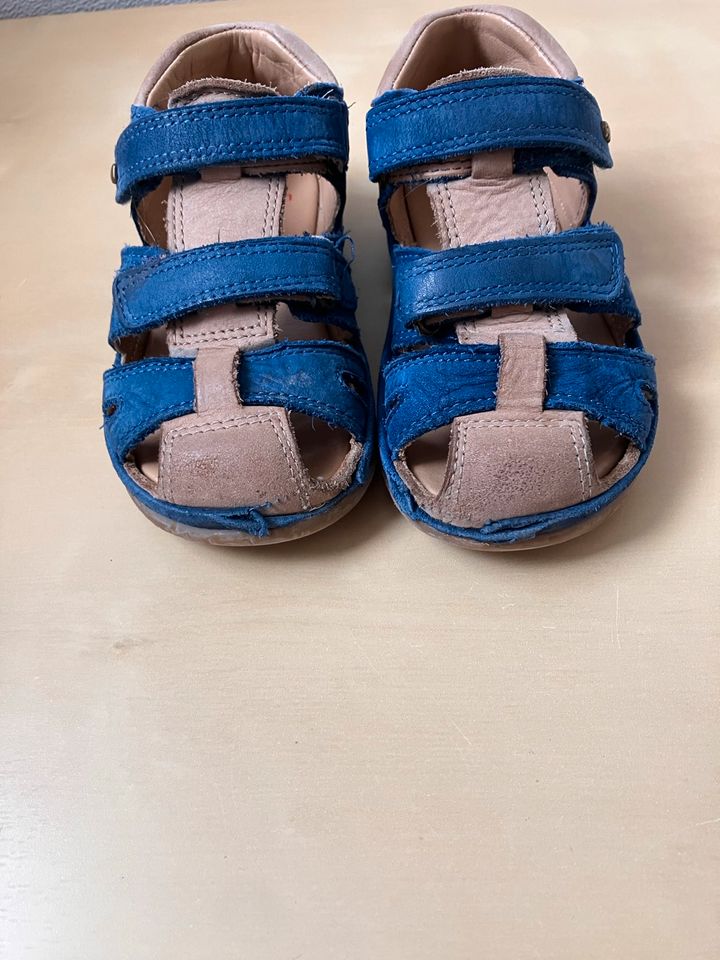 Sandalen, Elefanten, Billie Bellino Mittel in Weißendorf