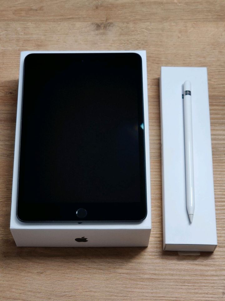 iPad mini 5 256GB WiFi (Model A2133) +Apple Pen in Mainz
