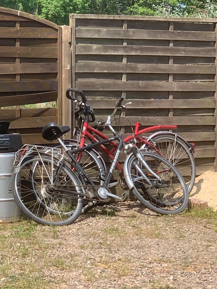 Fahrrad  alle Arten in Bassum