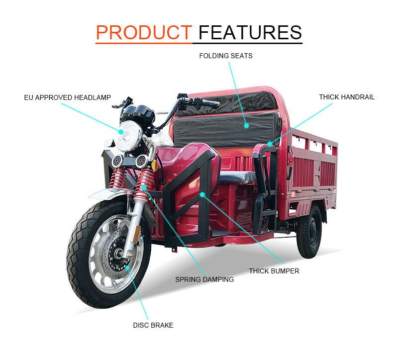 Cargo Runner B Lastendreirad Big Modell 43km/h Tuk Tuk Rikscha in Sommerach