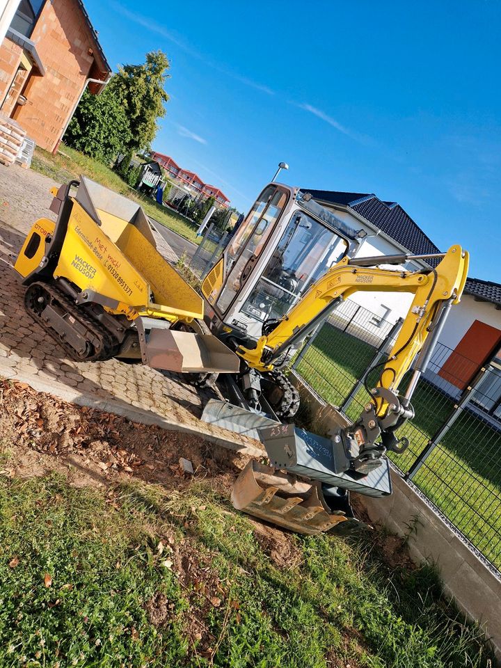 Dumper DT08 DT15 Wacker Neuson Muldenkipper Schubkarre mieten in Edermünde